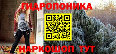 ГАЛЛЮЦИНОГЕННЫЕ ГРИБЫ Тара