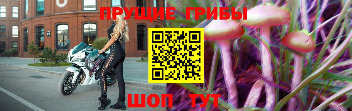Псилоцибиновые грибы Cubensis Екатеринбург